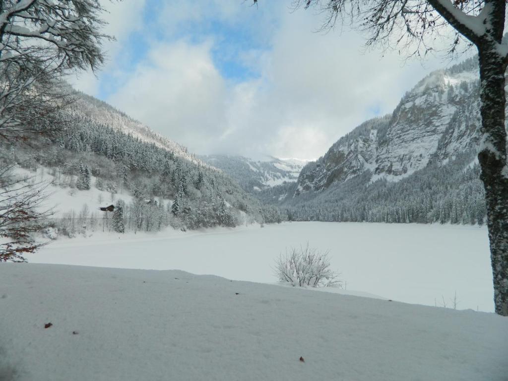 Logis Hotel Les Sapins Montriond Exteriér fotografie