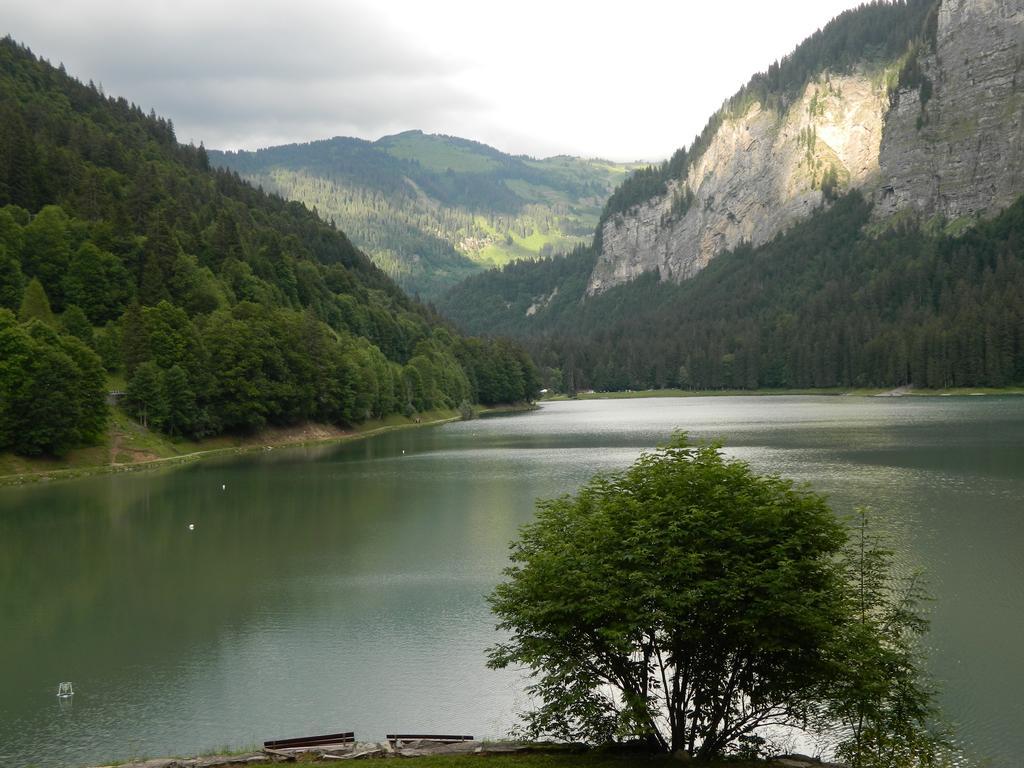 Logis Hotel Les Sapins Montriond Exteriér fotografie